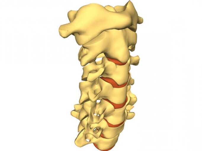 гръбначният стълб е склонен към остеохондроза